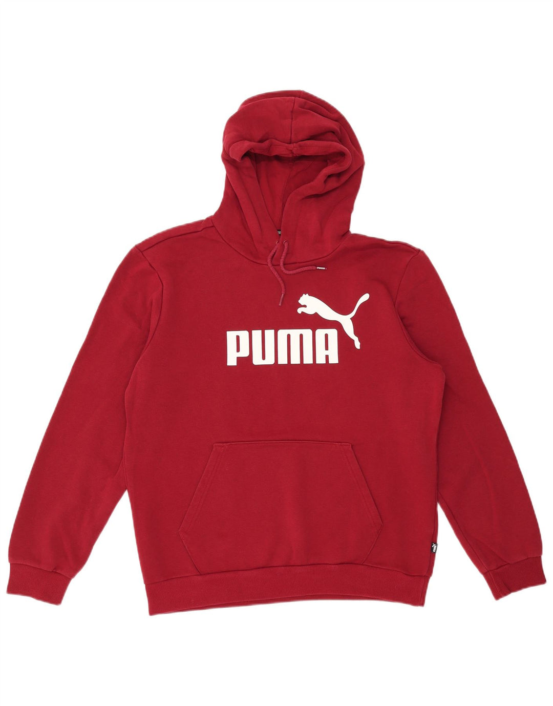 Felpa con cappuccio grafica PUMA da uomo, cotone marrone medio medio