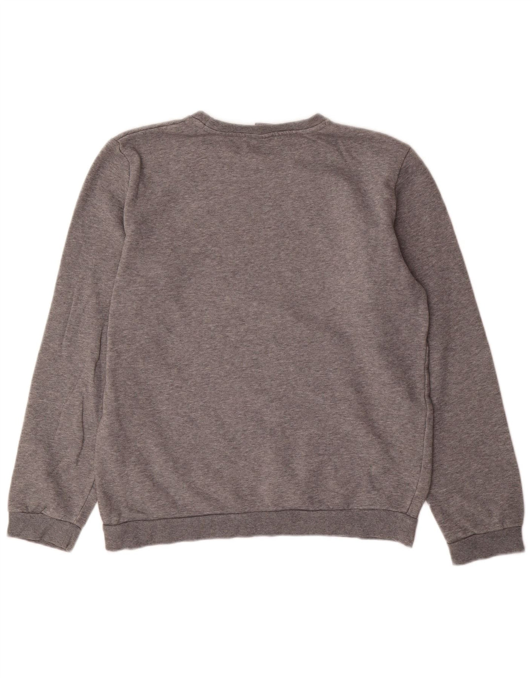 Felpa con grafica PUMA da ragazzo 15-16 anni in cotone grigio