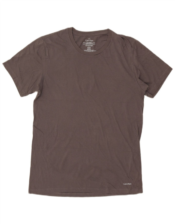 Maglietta grafica da uomo Calvin Klein Top in cotone grigio medio