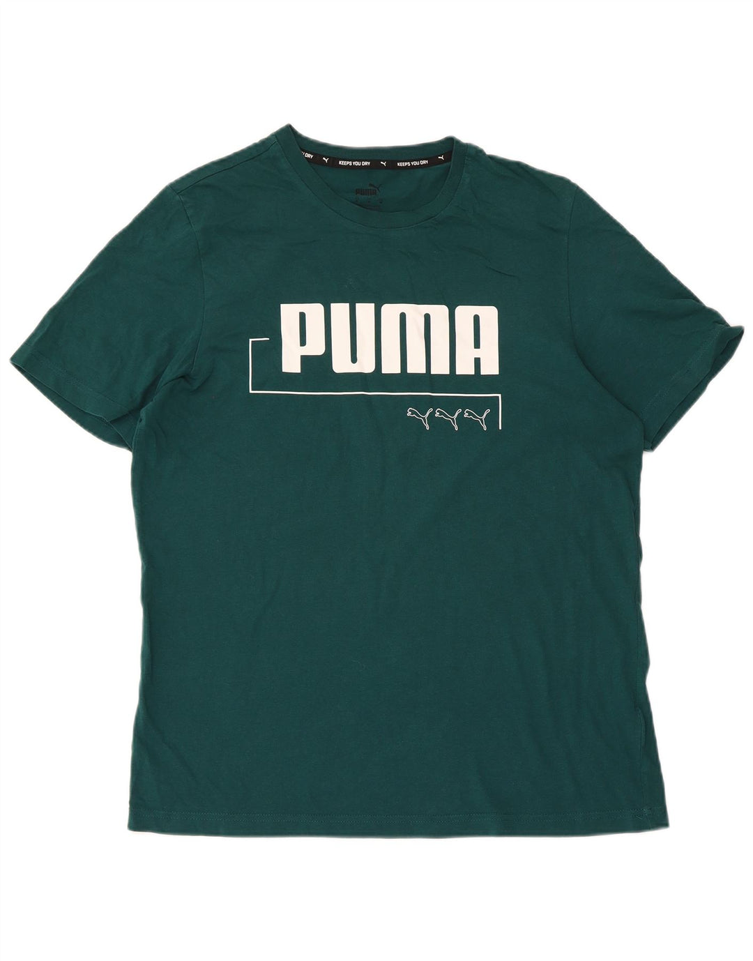 Maglietta grafica da uomo Puma Verde medio