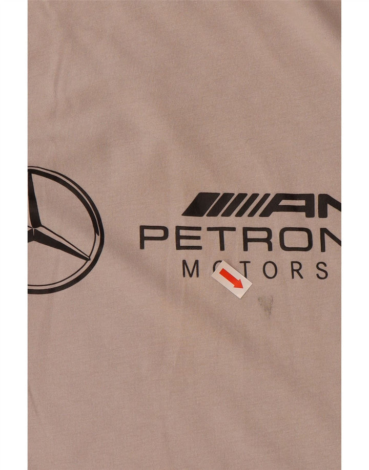 T-shirt grafica da uomo PUMA Top Small in cotone grigio