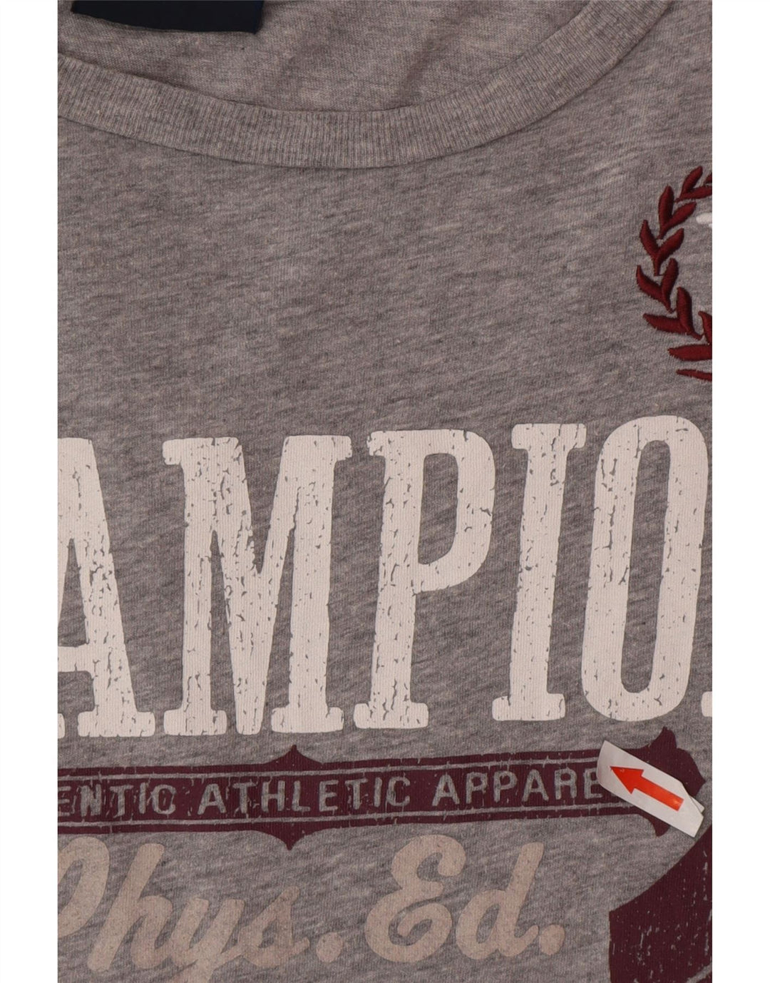 T-shirt grafica Champion Rochester da uomo, grande, in cotone grigio