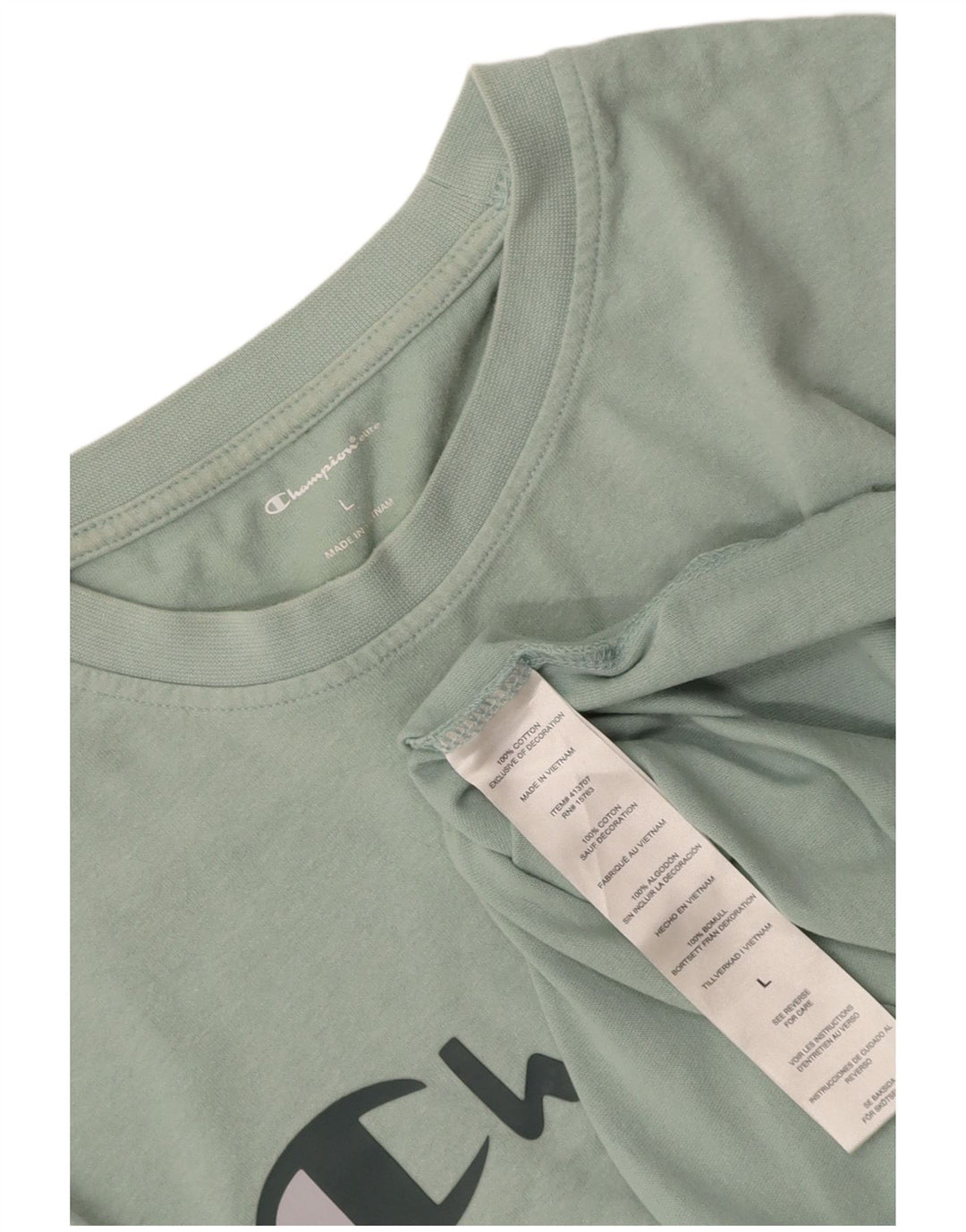 CHAMPION Mens Graphic T-Shirt Top Large Blue Cotton