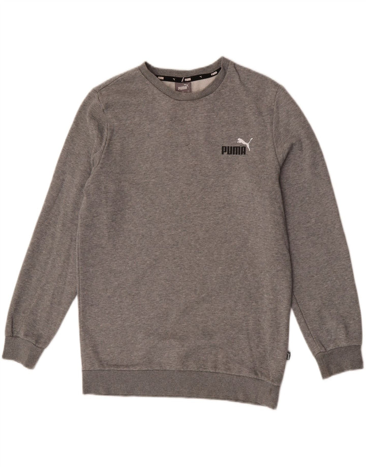 Felpa da uomo Puma Maglione piccolo grigio screziato