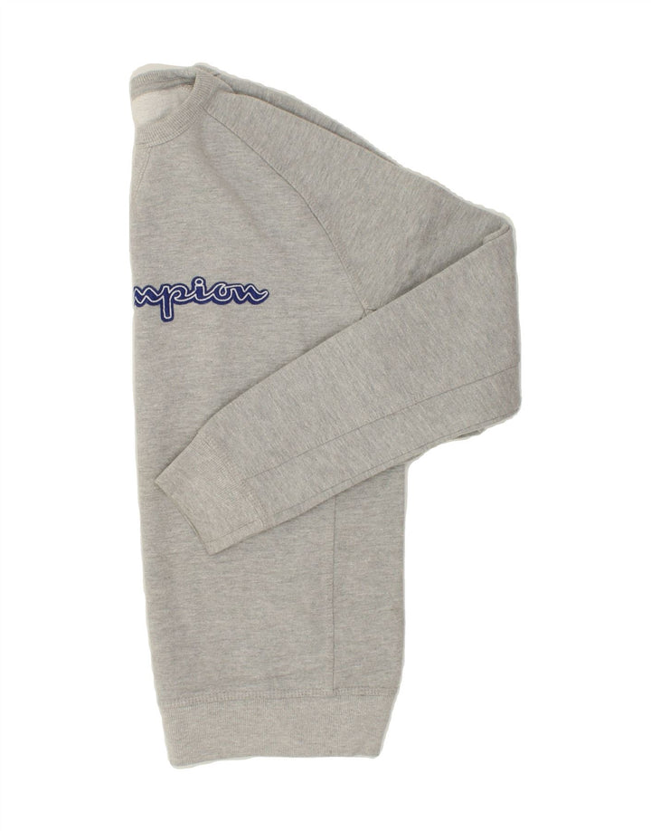 CHAMPION Mens Graphic Sweatshirt Jumper Medium Grey Cotton Vintage Champion and Second-Hand Champion from Messina Hembry 