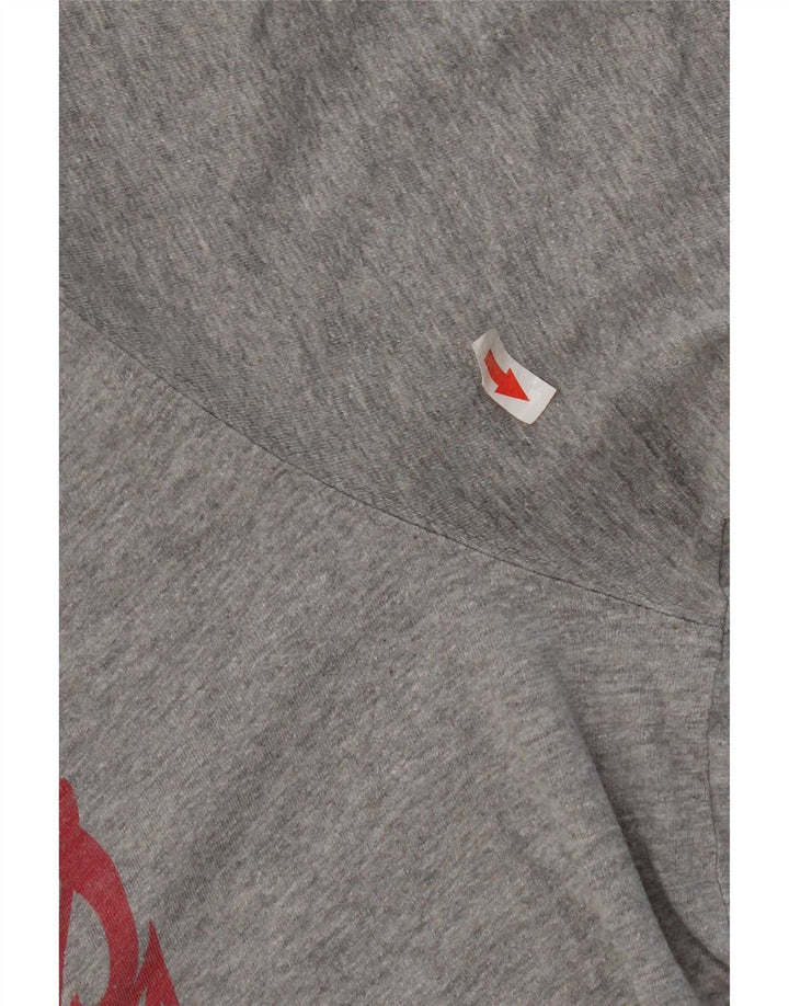 Dickies T-shirt grafica da uomo grande in cotone grigio