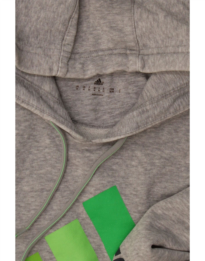 Felpa con cappuccio grafica da uomo Adidas grigio medio