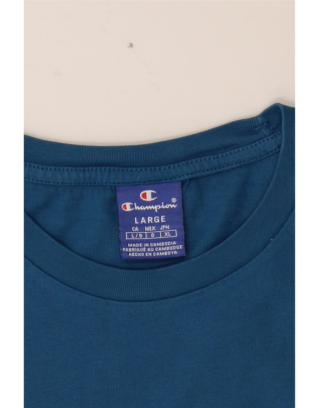 CHAMPION Mens Graphic T-Shirt Top Large Blue Cotton Vintage Champion and Second-Hand Champion from Messina Hembry 
