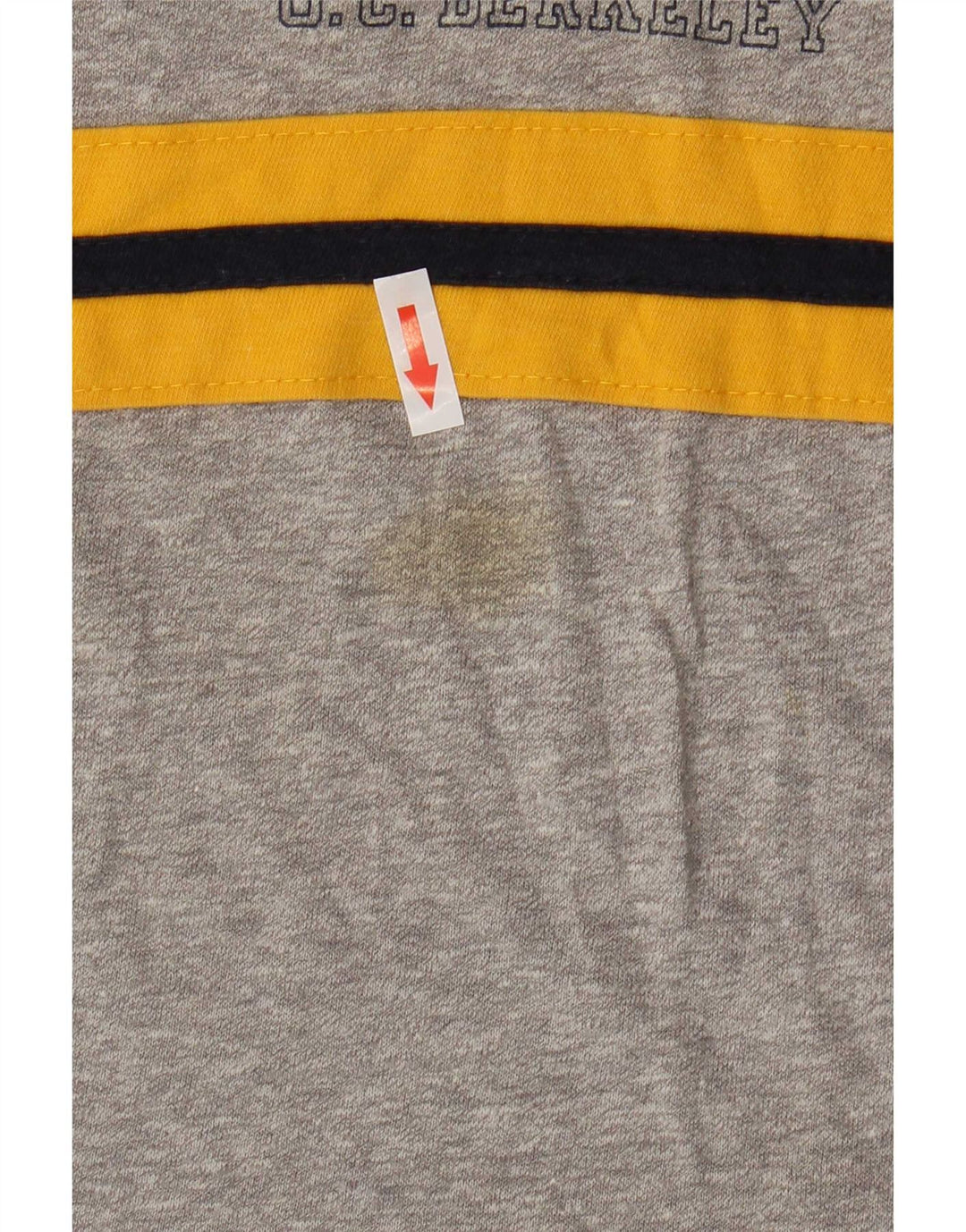 Champion Canotta da uomo grande grigio Colourblock Poliestere