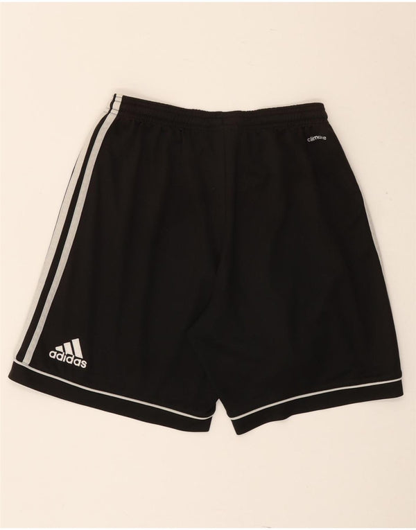 Pantaloncini sportivi Adidas Climalite da uomo piccoli in poliestere nero