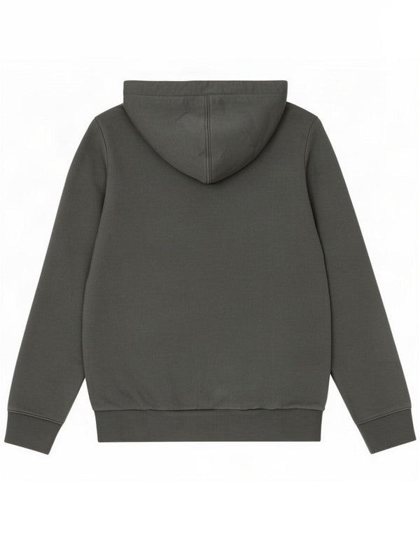 Napapijri Mens Geographic Graphic Hoodie Jumper Small Grey Cotton