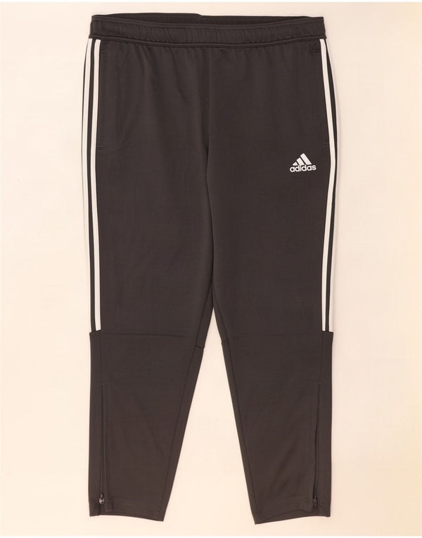 Pantaloni da tuta da uomo Adidas 2XL Poliestere grigio