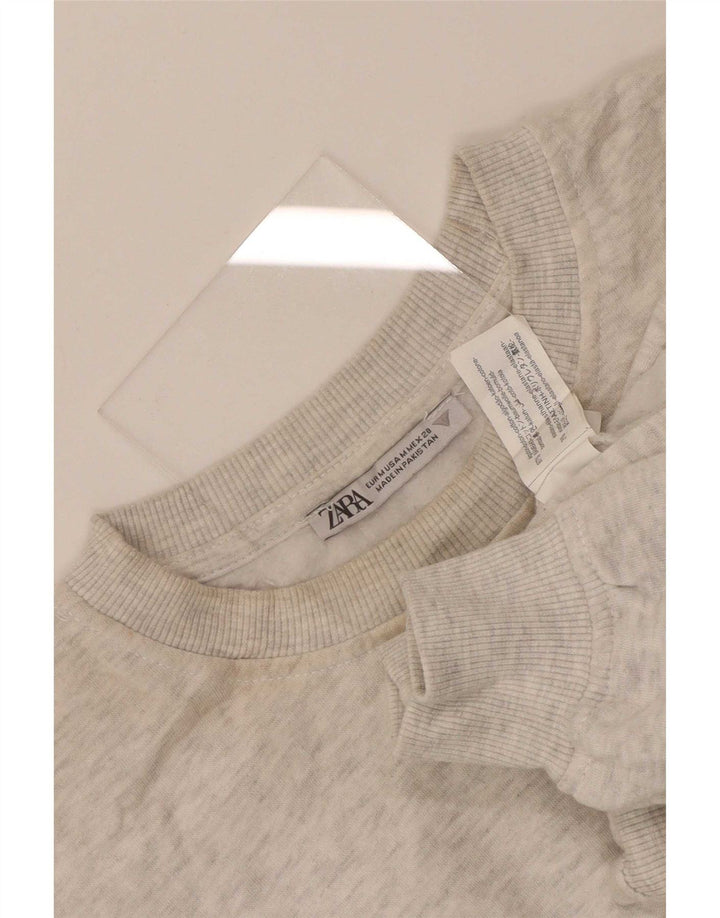 Felpa corta da donna Zara UK 14 Cotone grigio medio