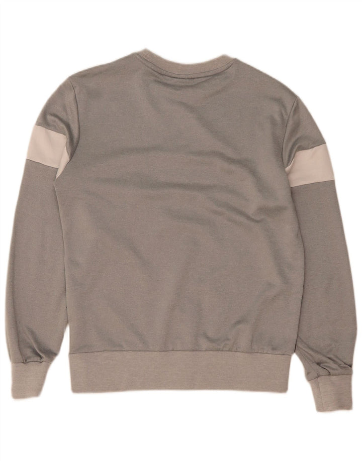 Felpa grafica da uomo Ellesse Maglione in poliestere color block grigio medio