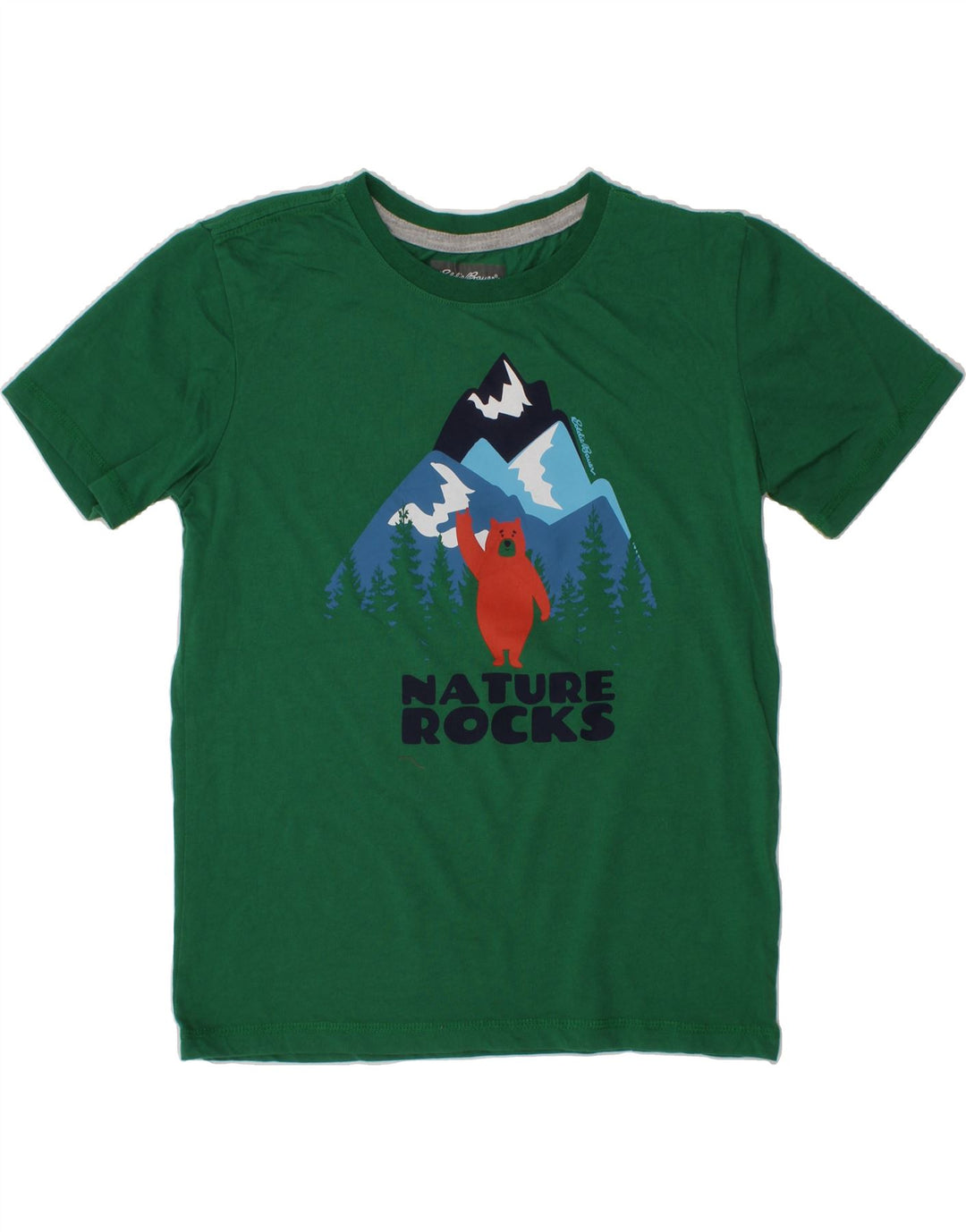 EDDIE BAUER Boys Graphic T-Shirt Top 10-11 Years Medium  Green Nature Vintage Eddie Bauer and Second-Hand Eddie Bauer from Messina Hembry 