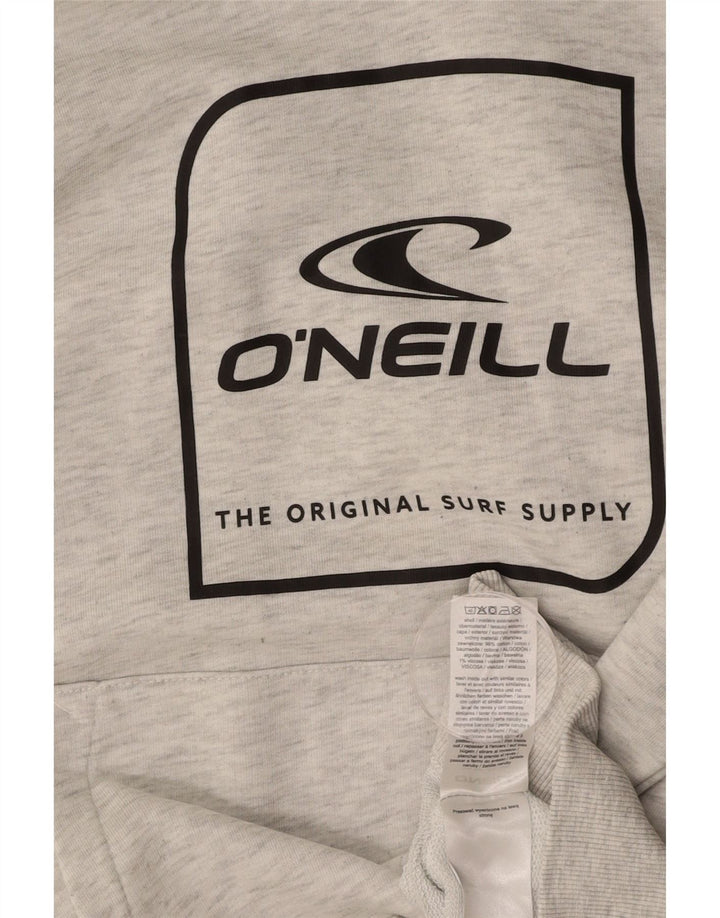 Maglione con cappuccio grafico da uomo O'NEILL piccolo in cotone grigio