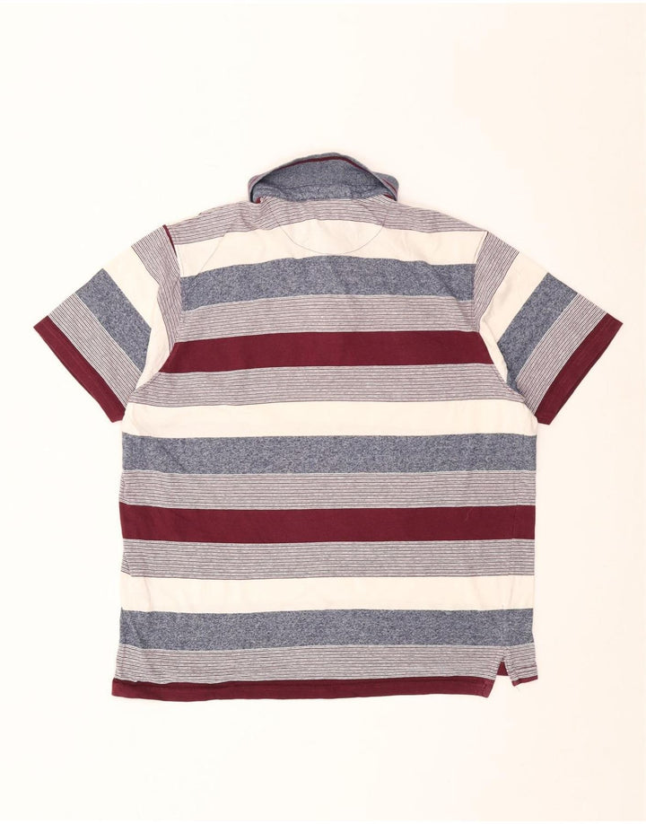 Polo da uomo dalla vestibilità regolare Pierre Cardin, a righe grandi, multicolore