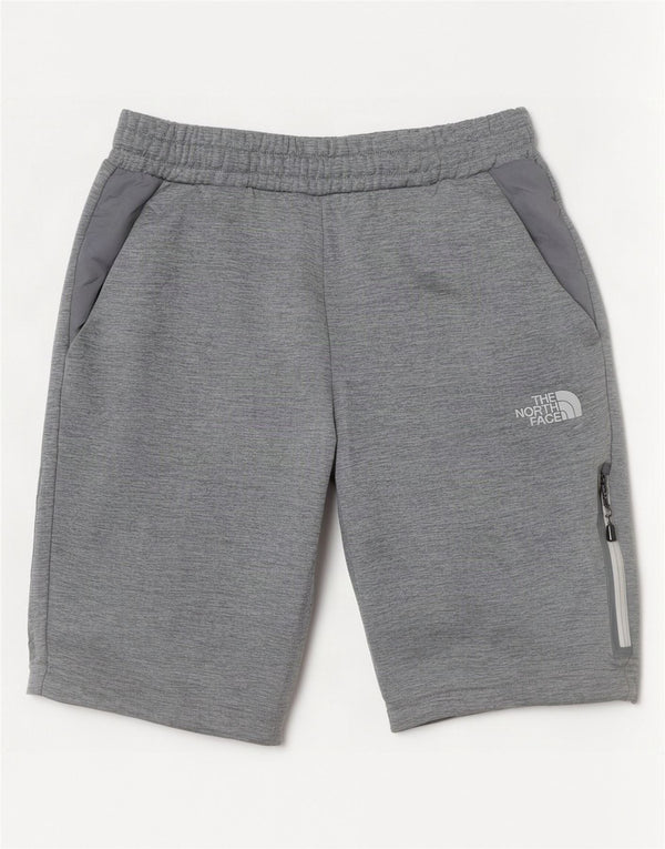 The North Face Mens Sport Shorts Small Grey Polyester
