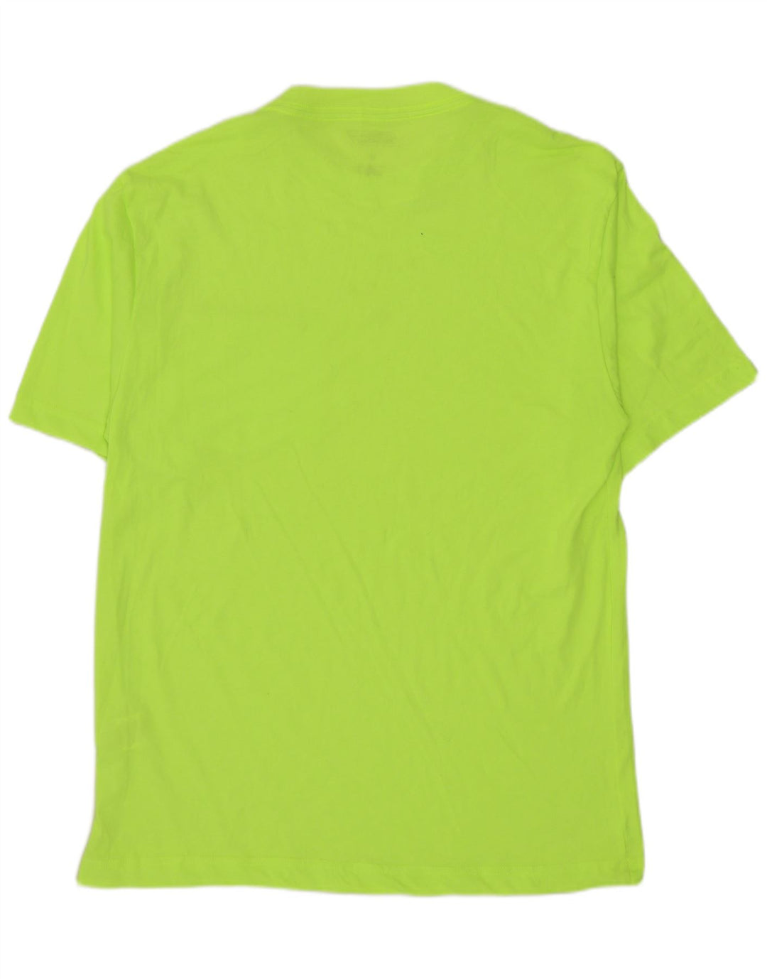 Maglietta da uomo Dickies Top in poliestere verde medio