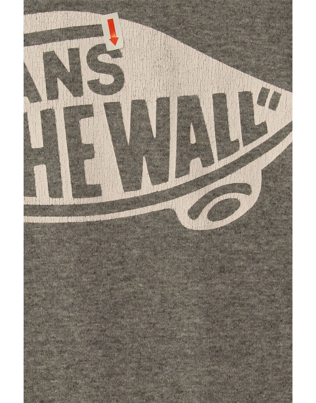 Felpa con cappuccio grafica da uomo Vans Small in cotone grigio