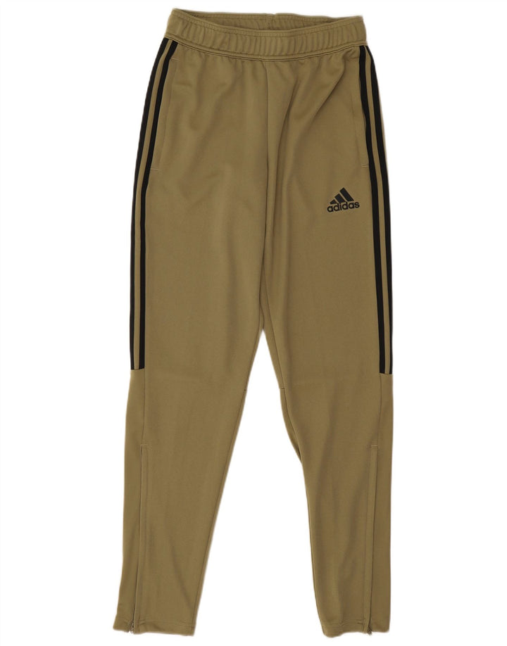 Pantaloni da tuta Adidas da uomo piccoli in poliestere kaki