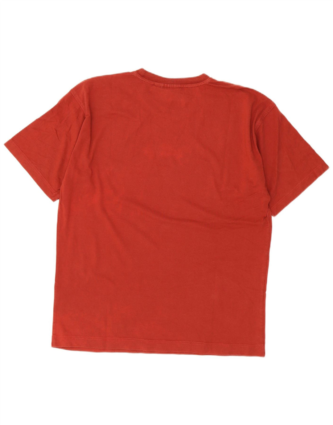 T-shirt grafica da uomo Puma Large Marrone
