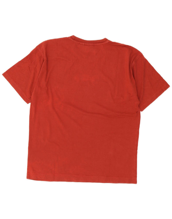 T-shirt grafica da uomo Puma Large Marrone