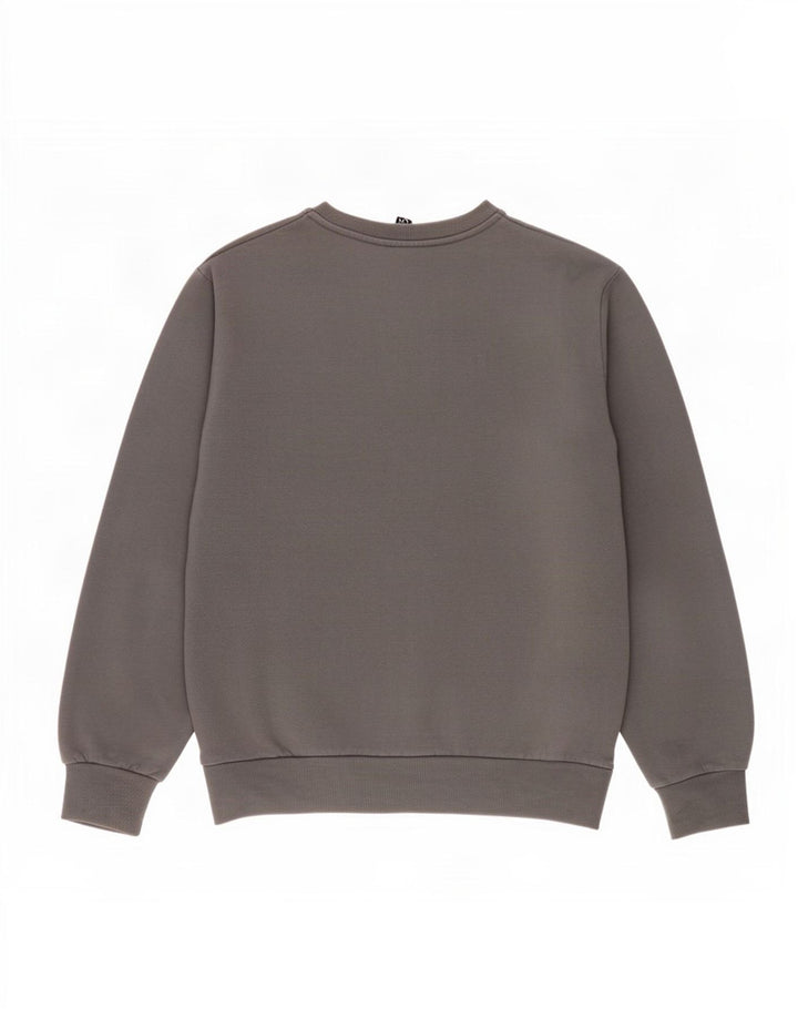 Felpa grafica da uomo Ellesse, maglione grande, cotone grigio