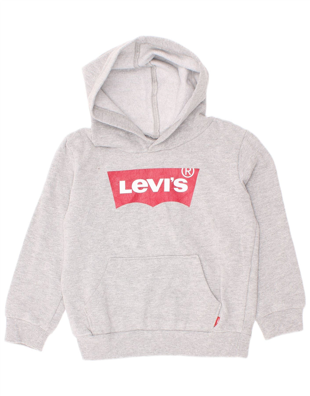 Maglione con cappuccio grafico Levi's per ragazzi 2-3 anni in cotone chiazzato grigio