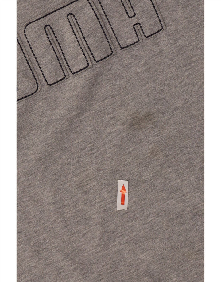 Maglia grafica da uomo Puma manica lunga grande grigia
