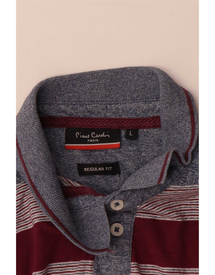 Polo da uomo dalla vestibilità regolare Pierre Cardin, a righe grandi, multicolore