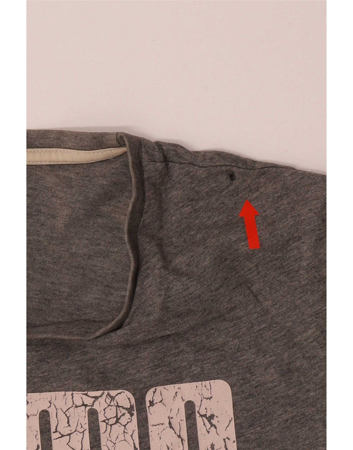 T-shirt grafica da uomo Puma Top Small in cotone grigio