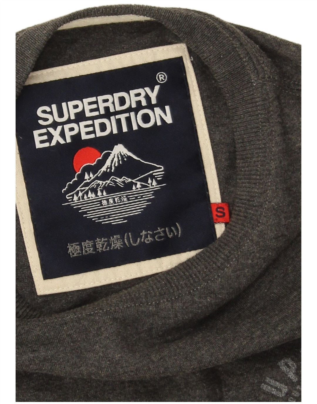 Top da uomo a maniche lunghe Superdry in cotone grigio piccolo