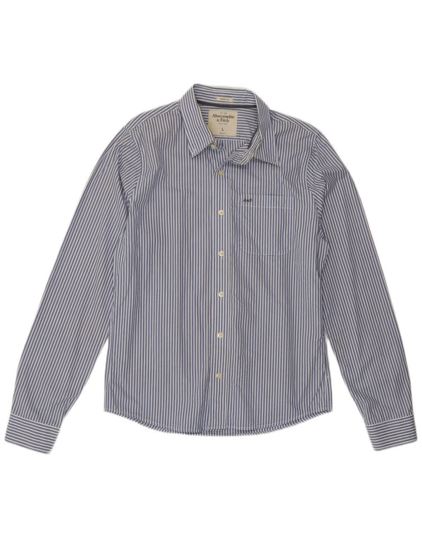 Camicia attillata da uomo Abercrombie & Fitch in cotone a righe grandi blu