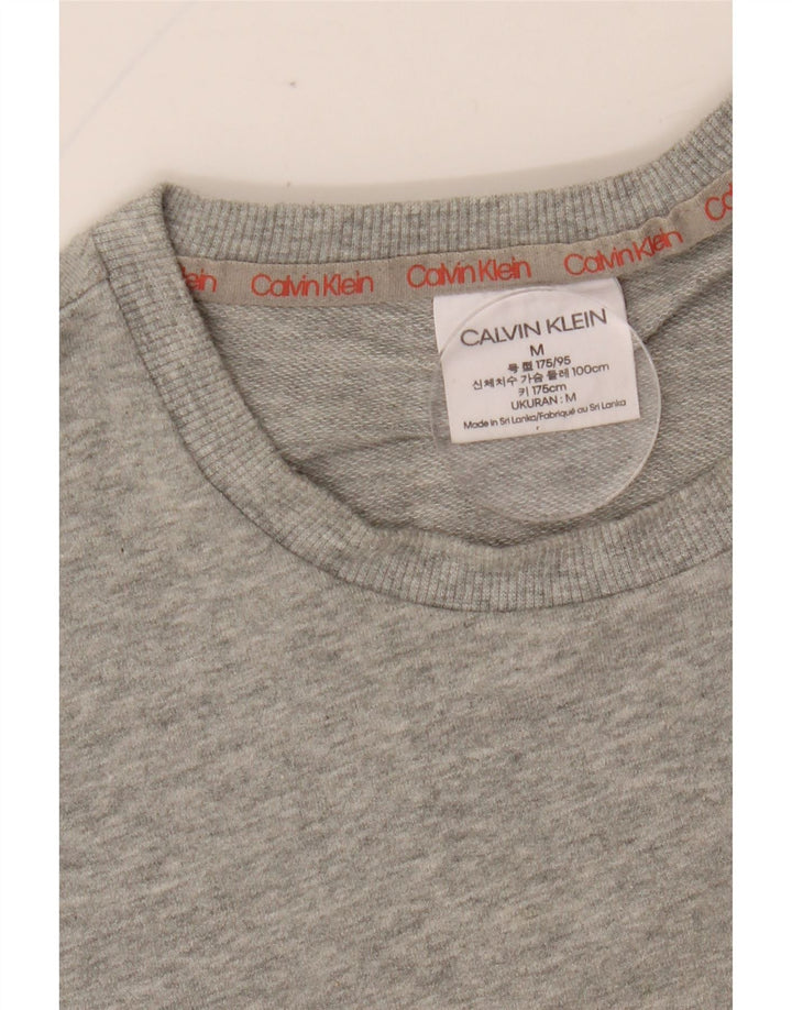 CALVIN KLEIN Felpa con grafica da uomo Maglione grigio medio