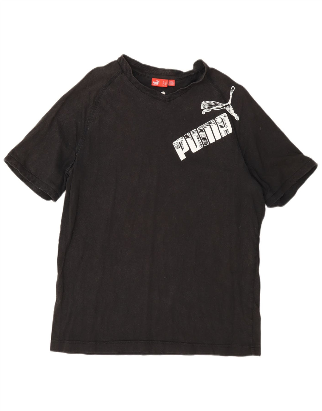 T-shirt grafica da uomo Puma Large grigia