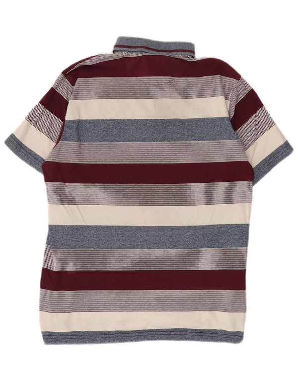 Polo da uomo Pierre Cardin in cotone a righe multicolori medie