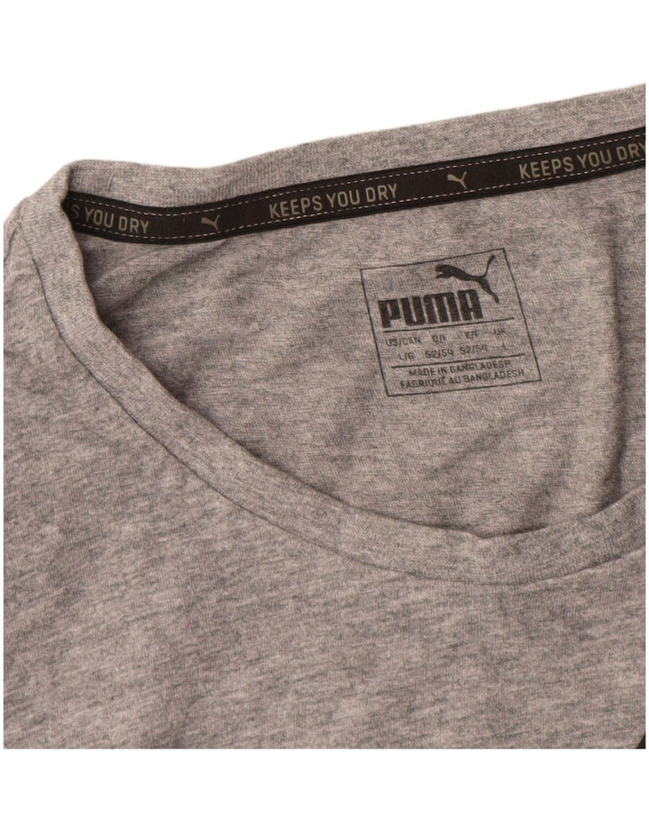 T-shirt grafica da uomo Puma Large grigia