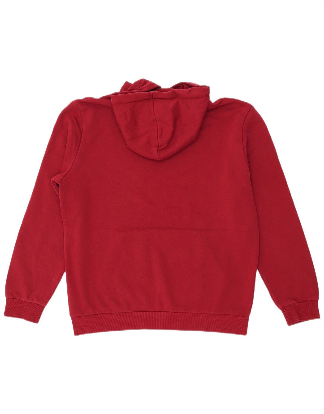 Felpa con cappuccio grafica PUMA da uomo, cotone marrone medio medio