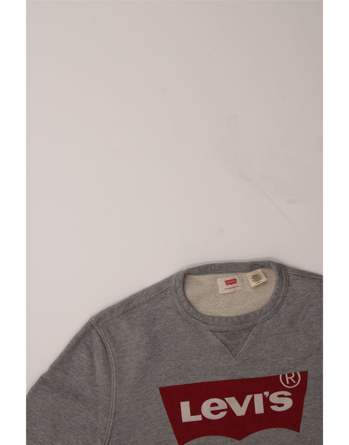 LEVI'S Mens Graphic Sweatshirt Jumper Medium Grey Cotton Vintage Levi's and Second-Hand Levi's from Messina Hembry 