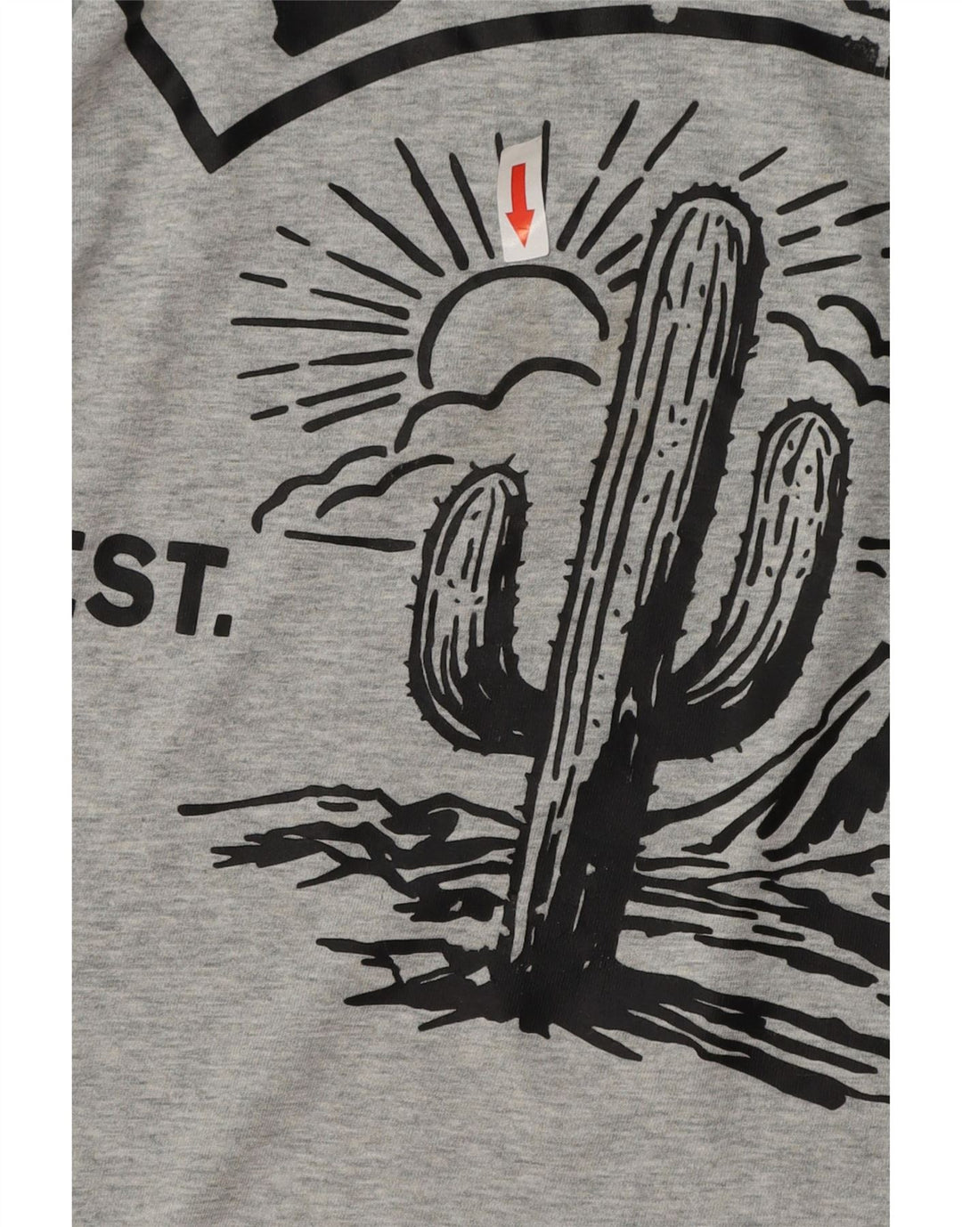 T-shirt grafica da uomo DIESEL Top XL in cotone grigio