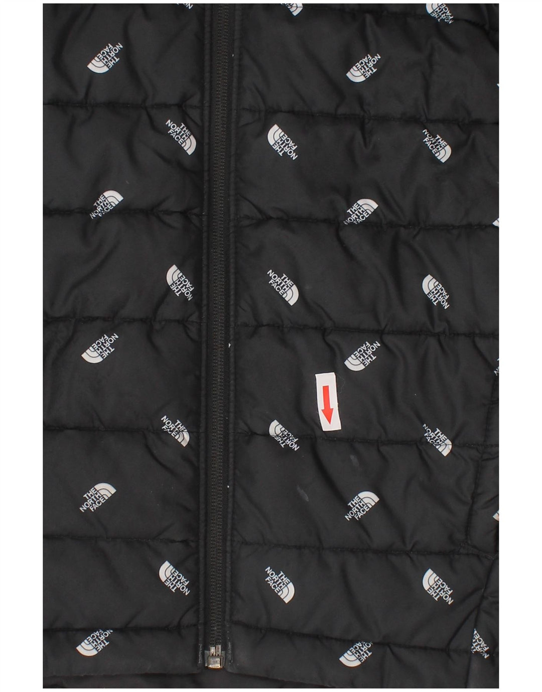 Giacca imbottita con cappuccio grafica The North Face da ragazzo 9-10 anni media nera