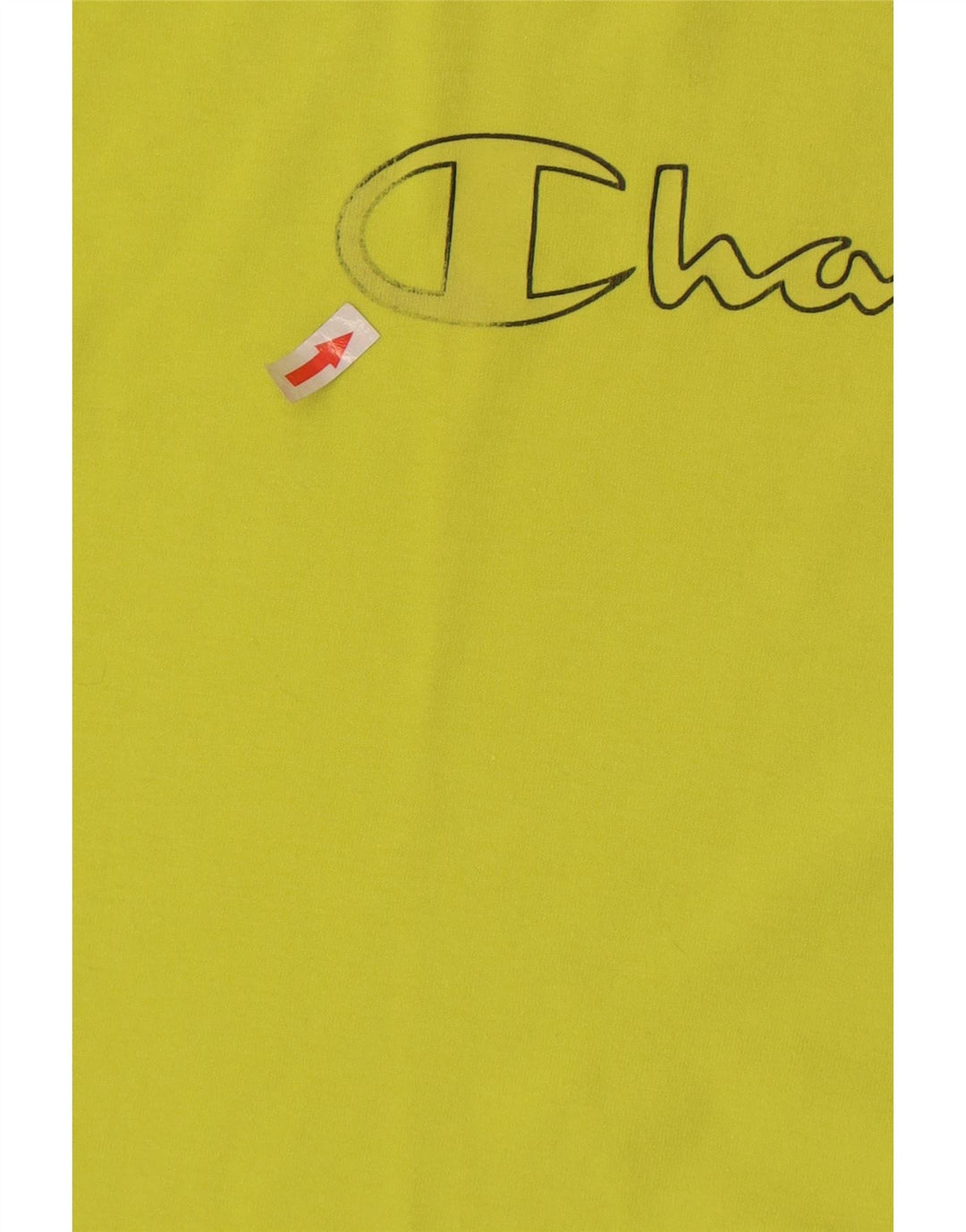 T-shirt grafica da uomo Champion Top in cotone verde medio