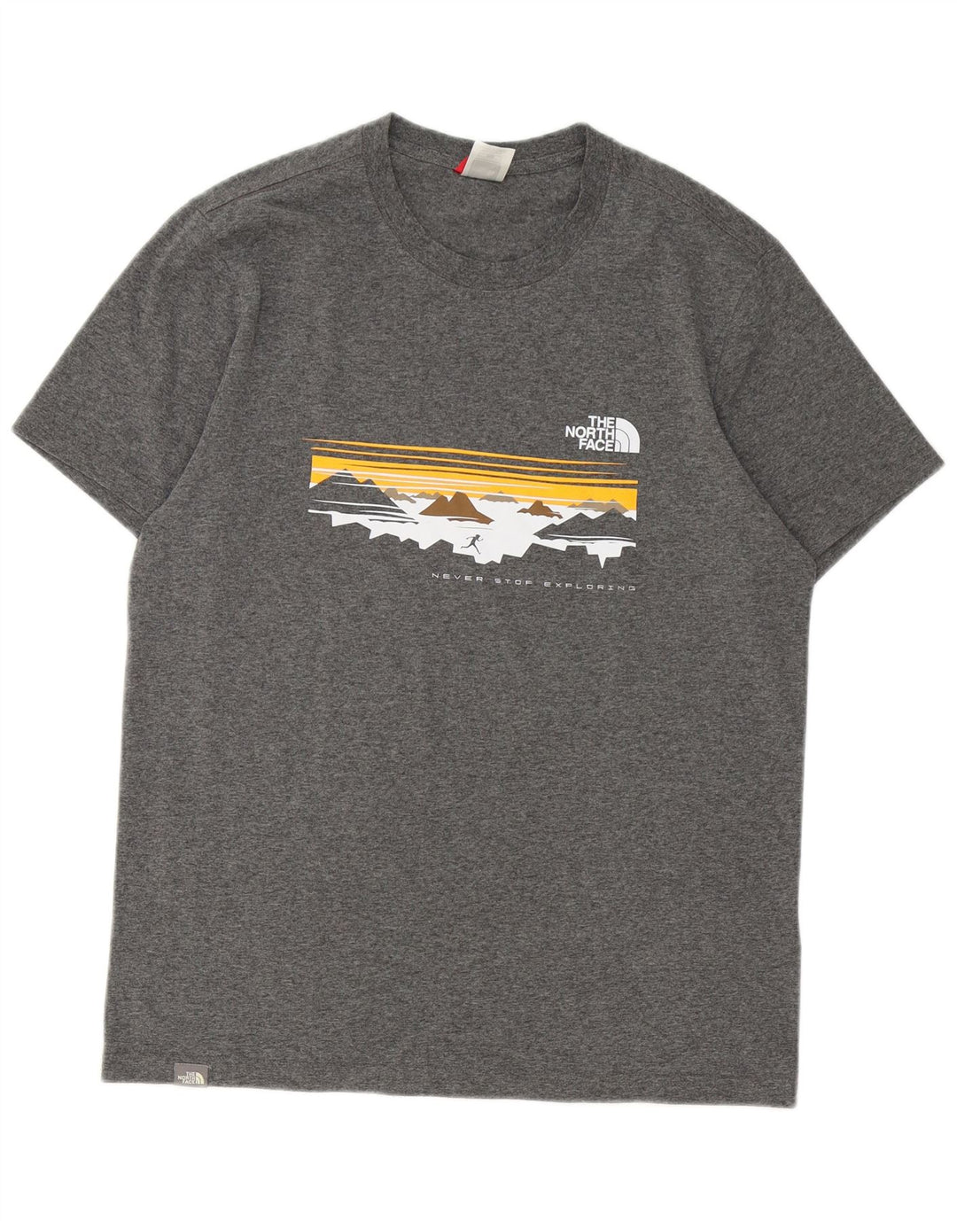 THE NORTH FACE T-shirt grafica da uomo in cotone grigio medio
