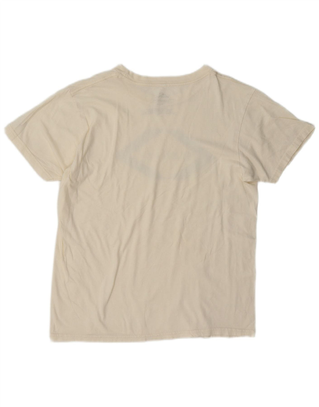 O'Neill T-shirt grafica da uomo con vestibilità standard, top in cotone bianco sporco medio