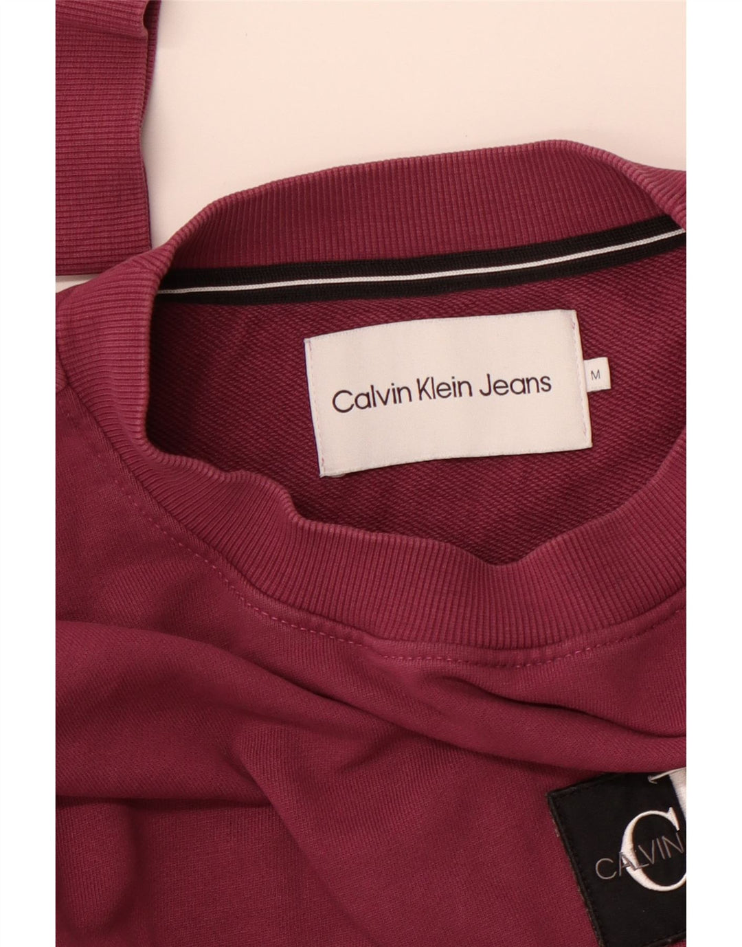 CALVIN KLEIN JEANS Felpa con grafica da uomo Maglione viola medio