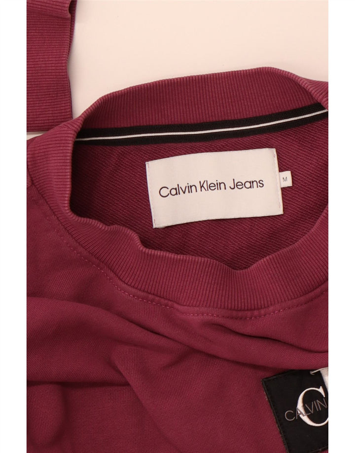 CALVIN KLEIN JEANS Felpa con grafica da uomo Maglione viola medio