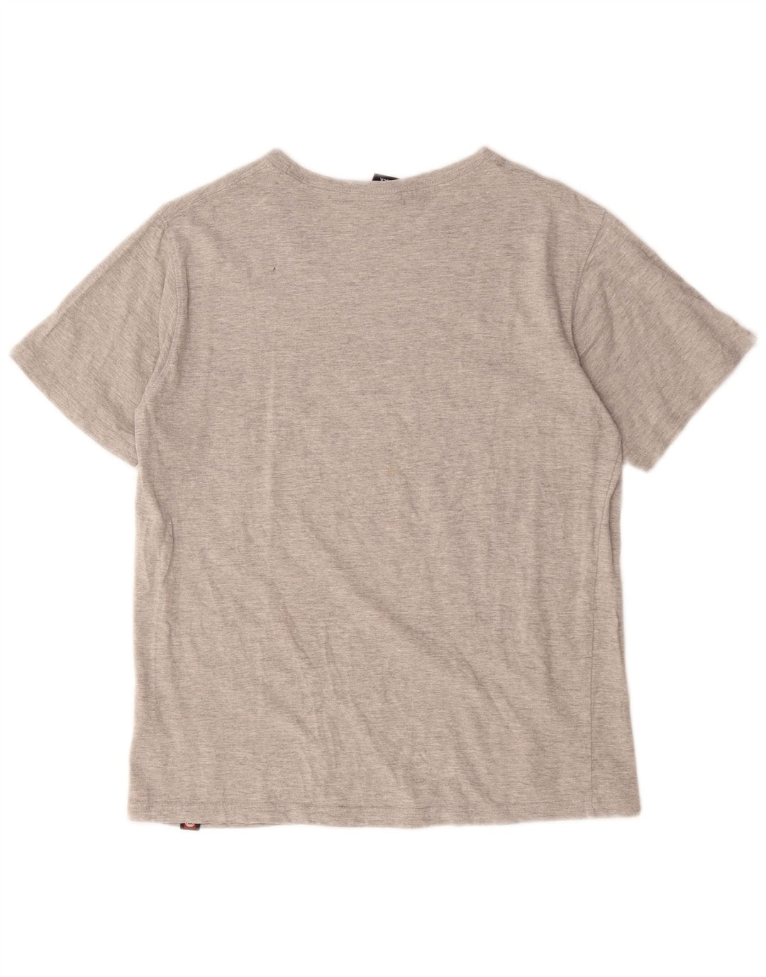 T-shirt grafica da uomo Saltrock Top in cotone chiazzato grigio piccolo