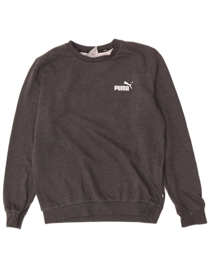 Felpa da uomo Puma Maglione in cotone grigio medio