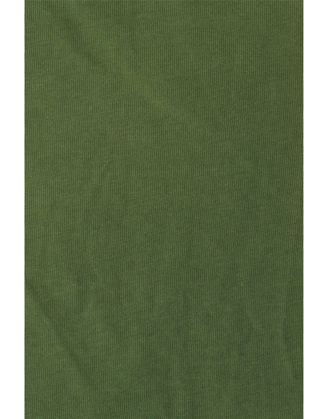 T-shirt grafica da uomo SUPERDRY Top piccola in cotone verde